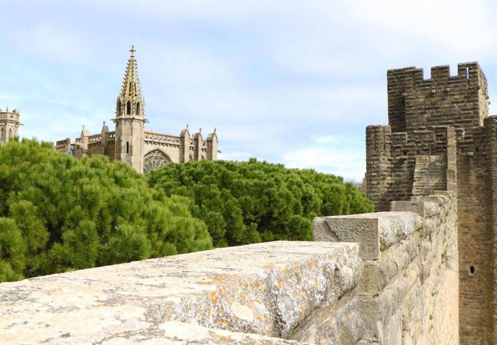 Apartamento Confort ! Climatisation, Centre-ville, Parking, Terrasse, Wifi, Netflix Carcasona